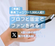 最高フォロワー1000人超！X歴10年が作成します SNS歴10年の感性で理想のプロフと固定ポストを提案します！