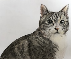リアルな色鉛筆画を描きます あなたの好きなものをありのまま絵にして飾ろう