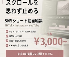 ショート動画作成・編集をします イメージ1