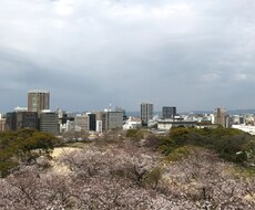 節約や健康のアドバイスをサポート致します イメージ1