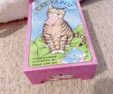 少し辛口ねこちゃんタロットで深掘りしていきます 深くみていきます。こちらの猫ちゃん若干辛口めでハッキリ出ます