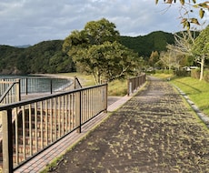 性被害からの回復を助けます イメージ1