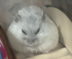 重度うつ病の妻を持つ僕が力になります イメージ1