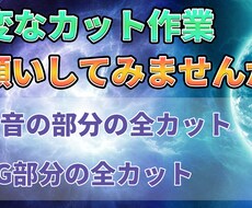 使わない無音の場所、NGシーン等のカットを致します