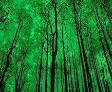介護のお悩み解決致します イメージ1