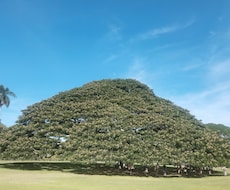 心が軽くなる時間をつくります イメージ1