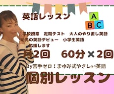 月2回の60分✖️2回の英語個別指導をします 14年経験×米国経験の英語講師