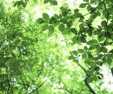 1分からでも!お話相手☆心ゆくまで寄り添います 何でも！まずは気軽にお電話ください^_^