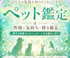 ペット鑑定｜我が子の本音や天国からの声を聴きます イメージ1