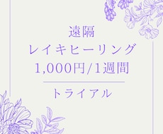 レイキで最高・最善の流れへ導きます 大切なペットと飼い主様にもおすすめ！