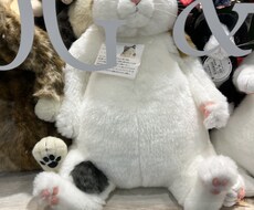 関西弁、恋愛アドバイスをします イメージ1