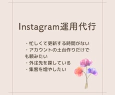 Instagramの専門家が運用代行いたします イメージ1