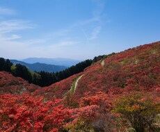ブログやデザインに使える写真を提供します イメージ1