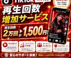TikTok再生回数2万回増やします 安心できるこのお値段。オプション購入でもっとお得に！