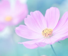 うつでひきこもりがちな繊細なあなたの一歩応援します イメージ1
