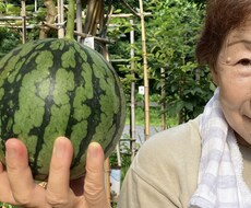 バアバが子育ての相談や愚痴、お悩みを聴きます イメージ1