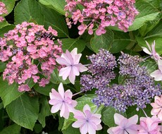 お悩みをお聞きいたします イメージ1