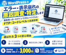 WPエラー・表示崩れの原因調査・特定します イメージ1