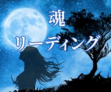 写真から、魂の本声を占います 写真から、霊視、チャネリング、カードで魂を読み解きます