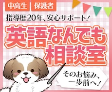 保護者様専用！英語の悩み、文章で丁寧に寄り添います イメージ1