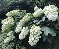 恋愛のお悩み占います より良い未来と関係のためにカードからあなたへのメッセージ♡