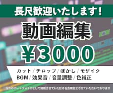 長尺歓迎！動画編集をお得に承ります イメージ1