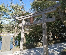 色々視ます 人間関係や恋愛、霊的な事でお困りの方、視てみます♥