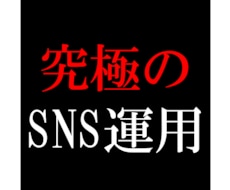 SNS運用のコンサルティングをします SNSで伸びない人は基本的な手順をぶっ飛ばしているだけです