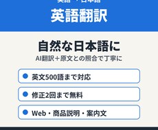 英語翻訳！英文を自然な日本語に丁寧に訳します イメージ1