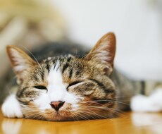 友達を作る方法を教えます イメージ1