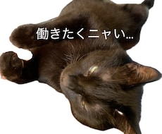 行きたくニャいお仕事の悩みを一緒に整理します イメージ1