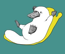 ポップで親しみのある動物イラストお届けします ポップでおしゃれな動物イラストが欲しい方へ