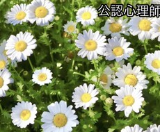 人とのやり取りが自然にラクになる方法を紹介します イメージ1