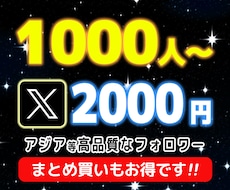 X（Twitter）フォロワー1000人増やします 特別価格2000円★アジア系等高品質限定