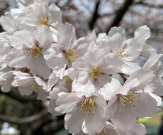 一児のママが友達感覚でなんでも聞きます イメージ1