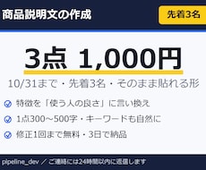 楽天・Amazonの商品説明文を3点書きます イメージ1