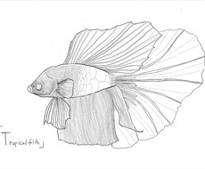 細かな線画イラストを作成します イメージ1