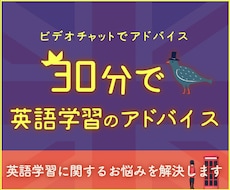 30分で英語学習のコーチング・進捗管理します 定期利用も可！あなたのモチベーション管理し学習を継続サポート