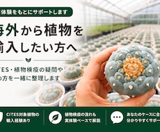 植物の個人輸入を実体験からサポートしますます イメージ1