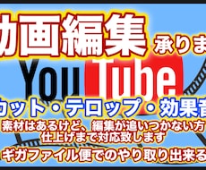 3000円〜YouTube動画編集致します イメージ1