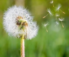 日々のお話なんでも聞きます