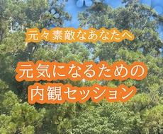 心の闇と向き合い前を向く為の内観セッションします イメージ1