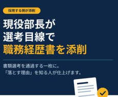 現役部長があなたの職務経歴書を選考目線で添削します イメージ1