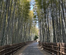 人生についての悩みや困り事を解決します イメージ1