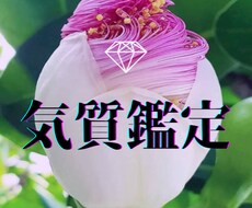 限定10名様！特別価格にて気質鑑定致します イメージ1