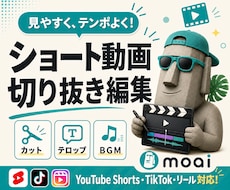 ショート動画・切り抜きを丁寧に編集します イメージ1