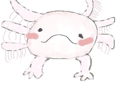 動物.海の生き物のゆるふわアイコンを描きます イメージ1