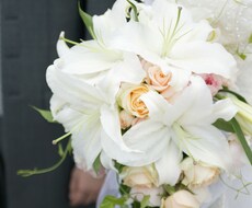 高収入の男性と結婚した方法を教えます イメージ1