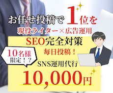 １０名様まで10,000円でSNS広告運用します イメージ1