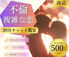 6/24男性目線で彼の本音・今後の関係を整理します 【特別価格20分500円】秘密の恋・複雑恋愛・不倫恋愛の悩み